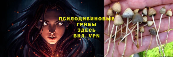 дурь Балабаново